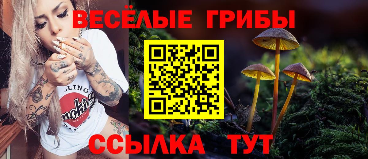 Псилоцибиновые грибы MAGIC MUSHROOMS Бердск