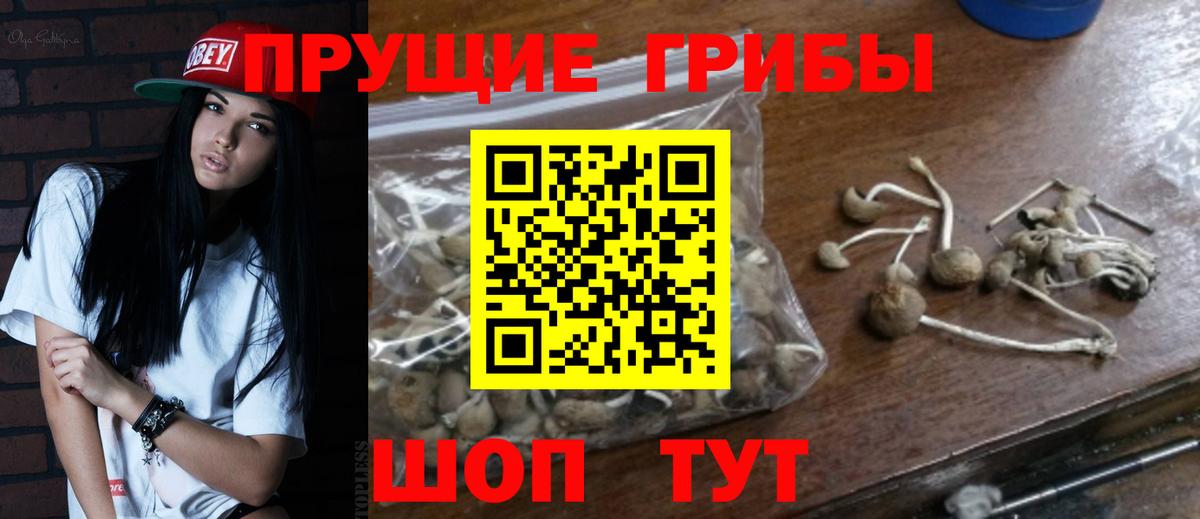 Галлюциногенные грибы мухоморы  Вход с VPN  Бердск 